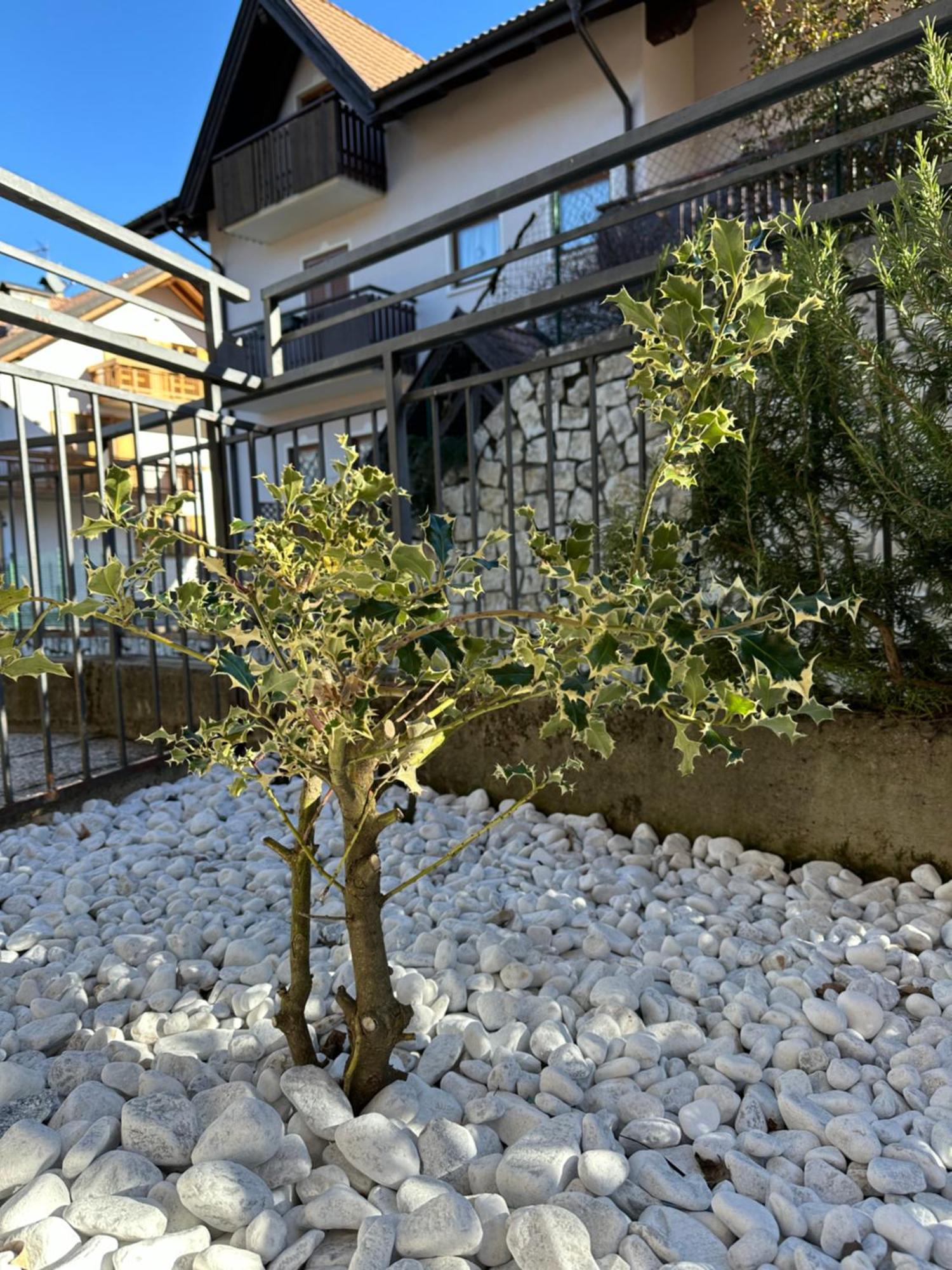 טרנטו Casa Vacanza La Croseta מראה חיצוני תמונה